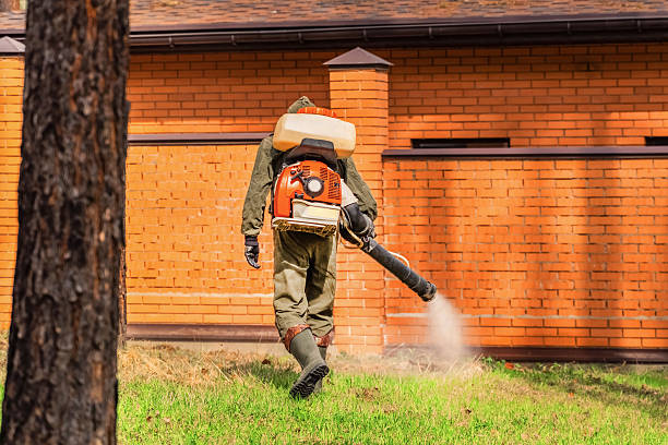 Trusted Emergency Pest Control service in Hockinson, WA - Nex Pest Control